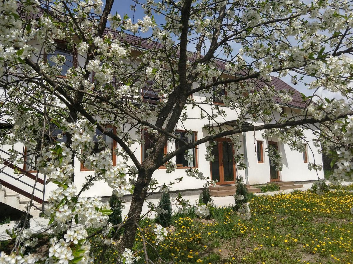 Vendel Guesthouse Lutoasa Εξωτερικό φωτογραφία